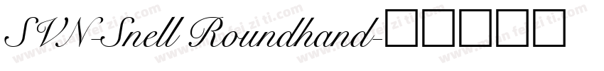 SVN-Snell Roundhand字体转换